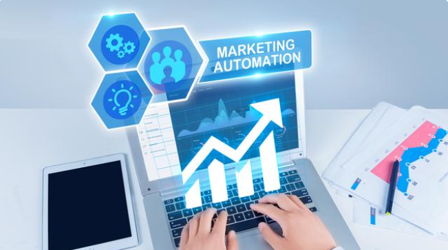 企业如何通过软件开发实现卓越的网络营销